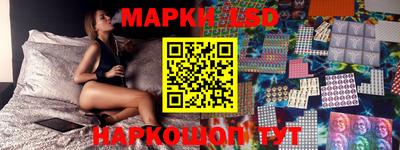 мдпв Бердск