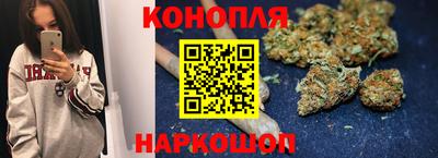 мдпв Бердск