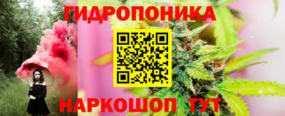 крисы Боровичи
