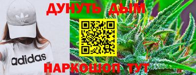 мдпв Бердск