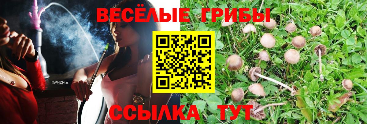 Псилоцибиновые грибы мицелий Сухой Лог