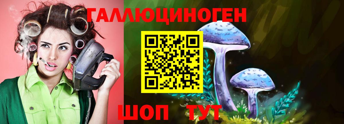 Галлюциногенные грибы мухоморы  Псилоцибиновые грибы Psilocybe  купить  цена  Вход с VPN  Сухой Лог 